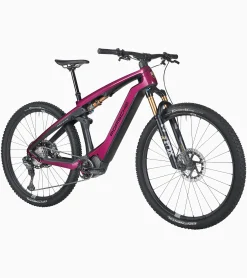 Porsche Ebike Cross Performance Exc