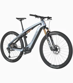 Porsche Ebike Cross Performance